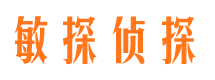 蒙城调查公司